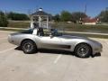 Silver Beige - Corvette Collector Edition Hatchback Photo No. 13