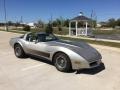 Silver Beige - Corvette Collector Edition Hatchback Photo No. 14