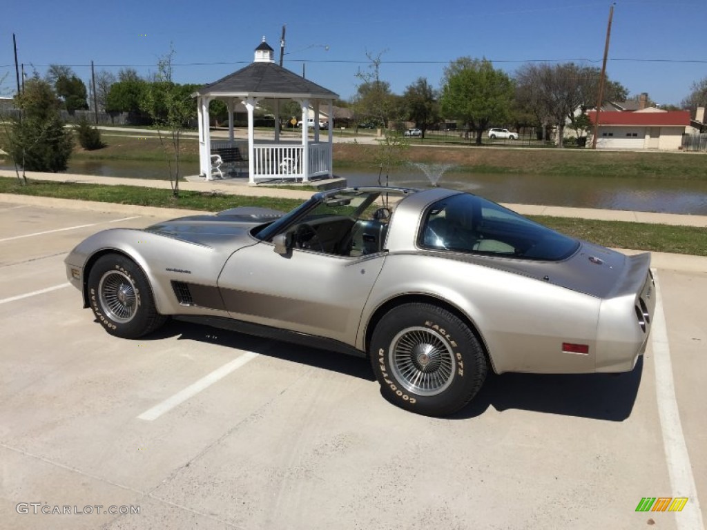 1982 Corvette Collector Edition Hatchback - Silver Beige / Silver Beige photo #15