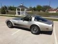 Silver Beige - Corvette Collector Edition Hatchback Photo No. 15