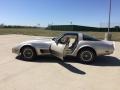 Silver Beige - Corvette Collector Edition Hatchback Photo No. 16