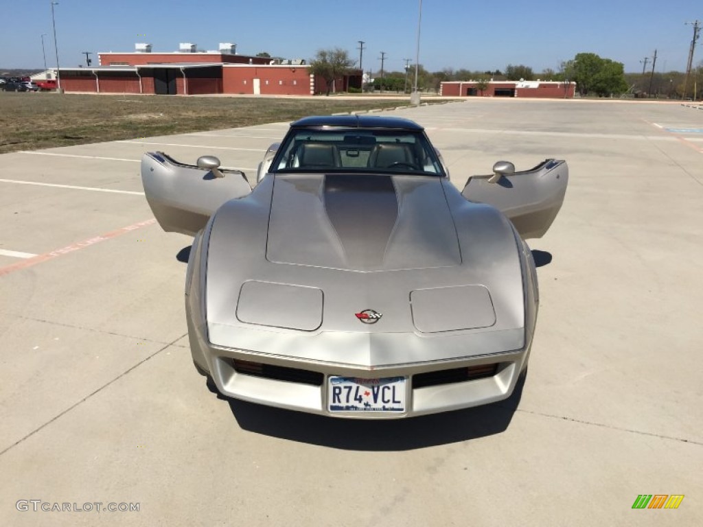 1982 Corvette Collector Edition Hatchback - Silver Beige / Silver Beige photo #17