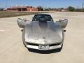 Silver Beige - Corvette Collector Edition Hatchback Photo No. 17