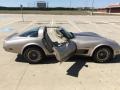 Silver Beige - Corvette Collector Edition Hatchback Photo No. 18