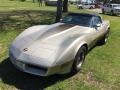 Silver Beige - Corvette Collector Edition Hatchback Photo No. 19