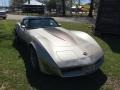 Silver Beige - Corvette Collector Edition Hatchback Photo No. 21