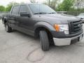 Sterling Grey Metallic 2010 Ford F150 XL SuperCrew Exterior