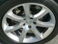 Liquid Platinum Metallic - G 35 Coupe Photo No. 17
