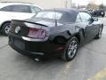 Black - Mustang V6 Premium Convertible Photo No. 5