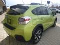 Plasma Green Pearl - XV Crosstrek Hybrid Touring Photo No. 8