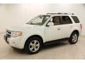White Suede 2010 Ford Escape Limited Exterior
