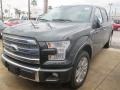 2015 Guard Metallic Ford F150 Platinum SuperCrew  photo #18