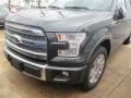 2015 Guard Metallic Ford F150 Platinum SuperCrew  photo #19