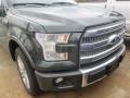 2015 Guard Metallic Ford F150 Platinum SuperCrew  photo #20