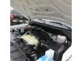 Blizzard White - NV 1500 SV Photo No. 19