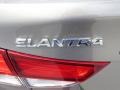 2014 Bronze Hyundai Elantra SE Sedan  photo #13
