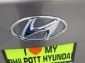 2014 Bronze Hyundai Elantra SE Sedan  photo #14