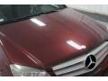 Barolo Red Metallic - C 300 Luxury Photo No. 41