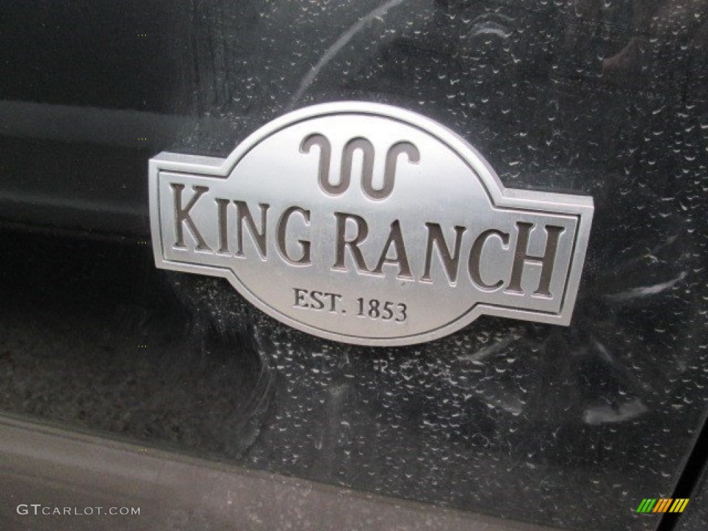2015 F150 King Ranch SuperCrew 4x4 - Tuxedo Black Metallic / King Ranch Java/Mesa photo #4