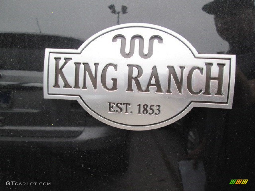 2015 F150 King Ranch SuperCrew 4x4 - Tuxedo Black Metallic / King Ranch Java/Mesa photo #21