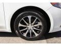 Bellanova White Pearl - TLX 2.4 Photo No. 7