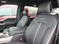 2015 Magnetic Metallic Ford F150 Platinum SuperCrew 4x4  photo #8
