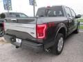 Magnetic Metallic - F150 Platinum SuperCrew 4x4 Photo No. 16