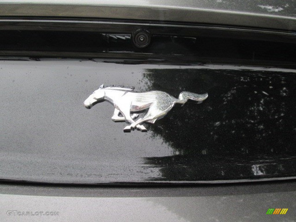 2015 Mustang EcoBoost Premium Coupe - Magnetic Metallic / Ebony photo #9