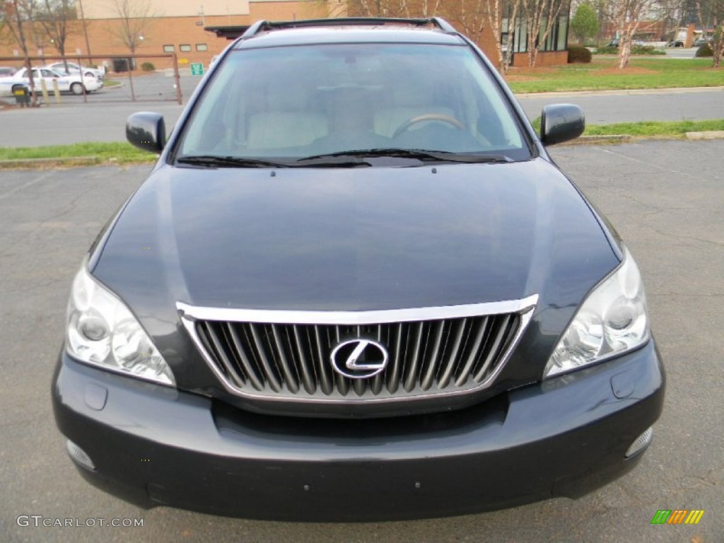 2008 RX 350 AWD - Flint Mica / Light Gray photo #5