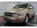 2007 Sunset Gold Kia Sedona EX  photo #3