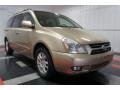 2007 Sunset Gold Kia Sedona EX  photo #5