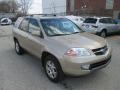 Mesa Beige Metallic 2002 Acura MDX Touring