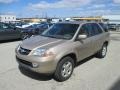 2002 Mesa Beige Metallic Acura MDX Touring  photo #7