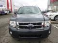 2009 Sterling Grey Metallic Ford Escape XLT 4WD  photo #2