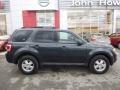 2009 Sterling Grey Metallic Ford Escape XLT 4WD  photo #9