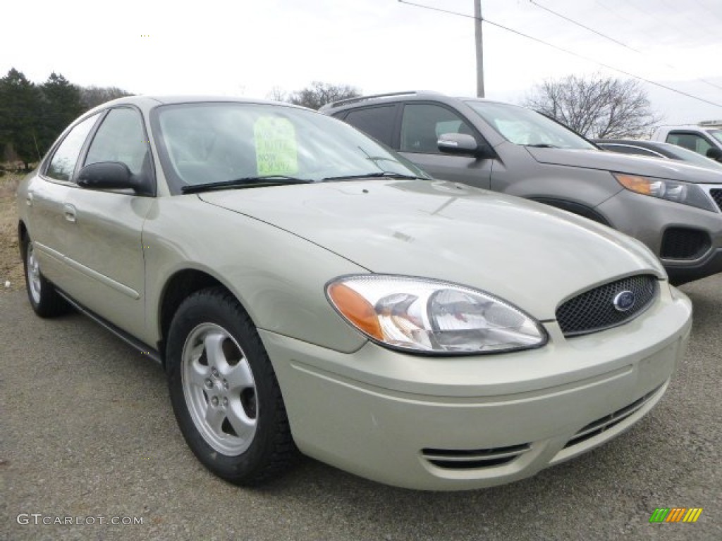 Gold Ash Metallic 2007 Ford Taurus SE Exterior Photo #102823581