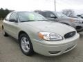 Gold Ash Metallic 2007 Ford Taurus SE Exterior