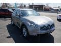 Platinum Graphite - FX 35 AWD Photo No. 2