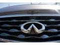 2009 Platinum Graphite Infiniti FX 35 AWD  photo #16