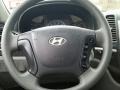 2009 Silver Blue Hyundai Santa Fe GLS  photo #15