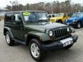 Jeep Green Metallic - Wrangler Sahara 4x4 Photo No. 3