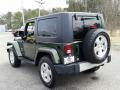 Jeep Green Metallic - Wrangler Sahara 4x4 Photo No. 11