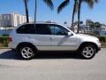 Titanium Silver Metallic - X5 3.0i Photo No. 3