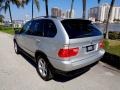 Titanium Silver Metallic - X5 3.0i Photo No. 9