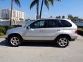 Titanium Silver Metallic - X5 3.0i Photo No. 11