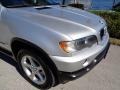 Titanium Silver Metallic - X5 3.0i Photo No. 15