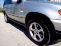 Titanium Silver Metallic - X5 3.0i Photo No. 20
