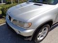 Titanium Silver Metallic - X5 3.0i Photo No. 24