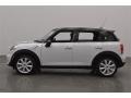 Light White - Countryman Cooper Photo No. 6