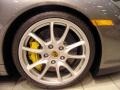 2008 Porsche 911 GT2 Wheel and Tire Photo